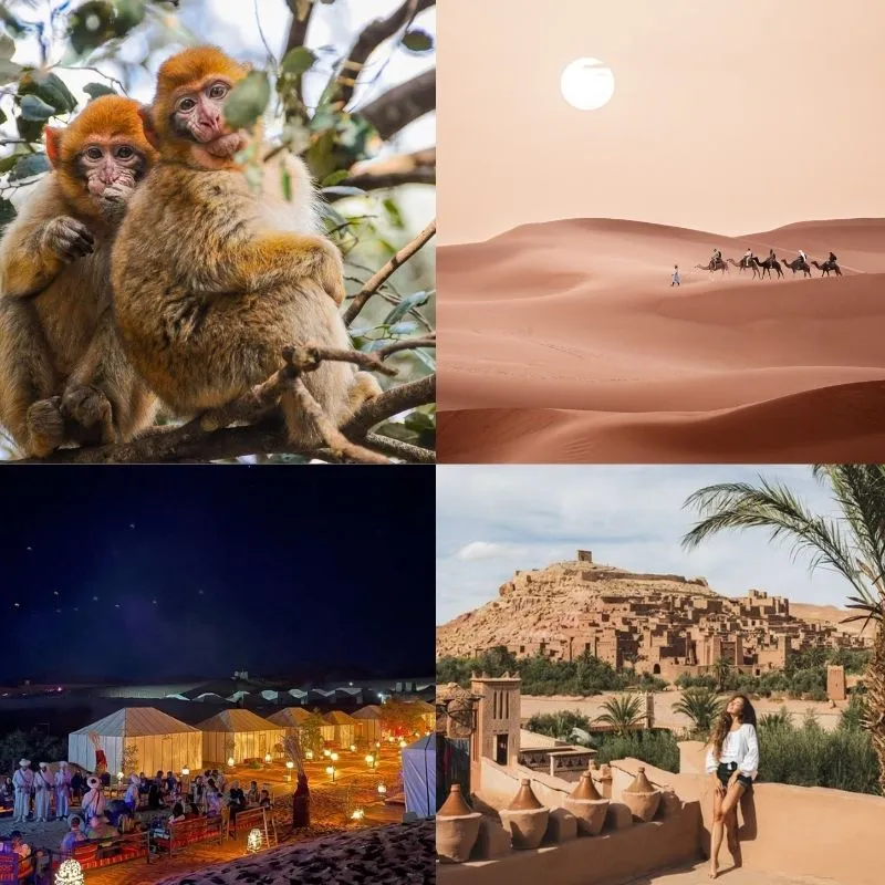 Tour de 4 días desde Fez a Marrakech por el desierto